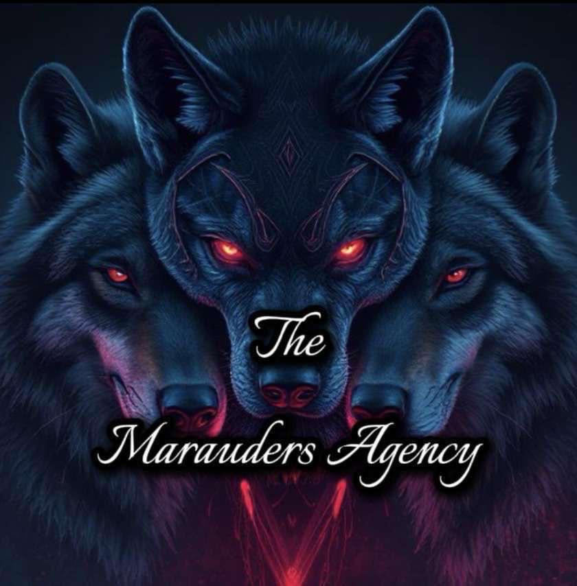 OG ALPHA Agency