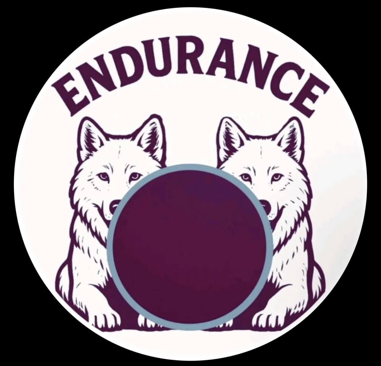 Team Endurance
