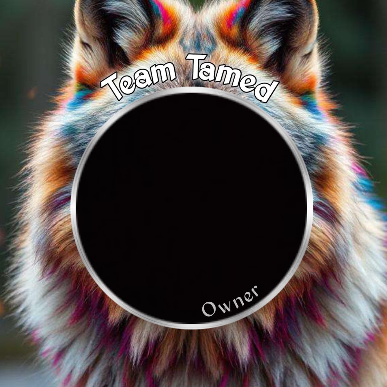 Team Tamed